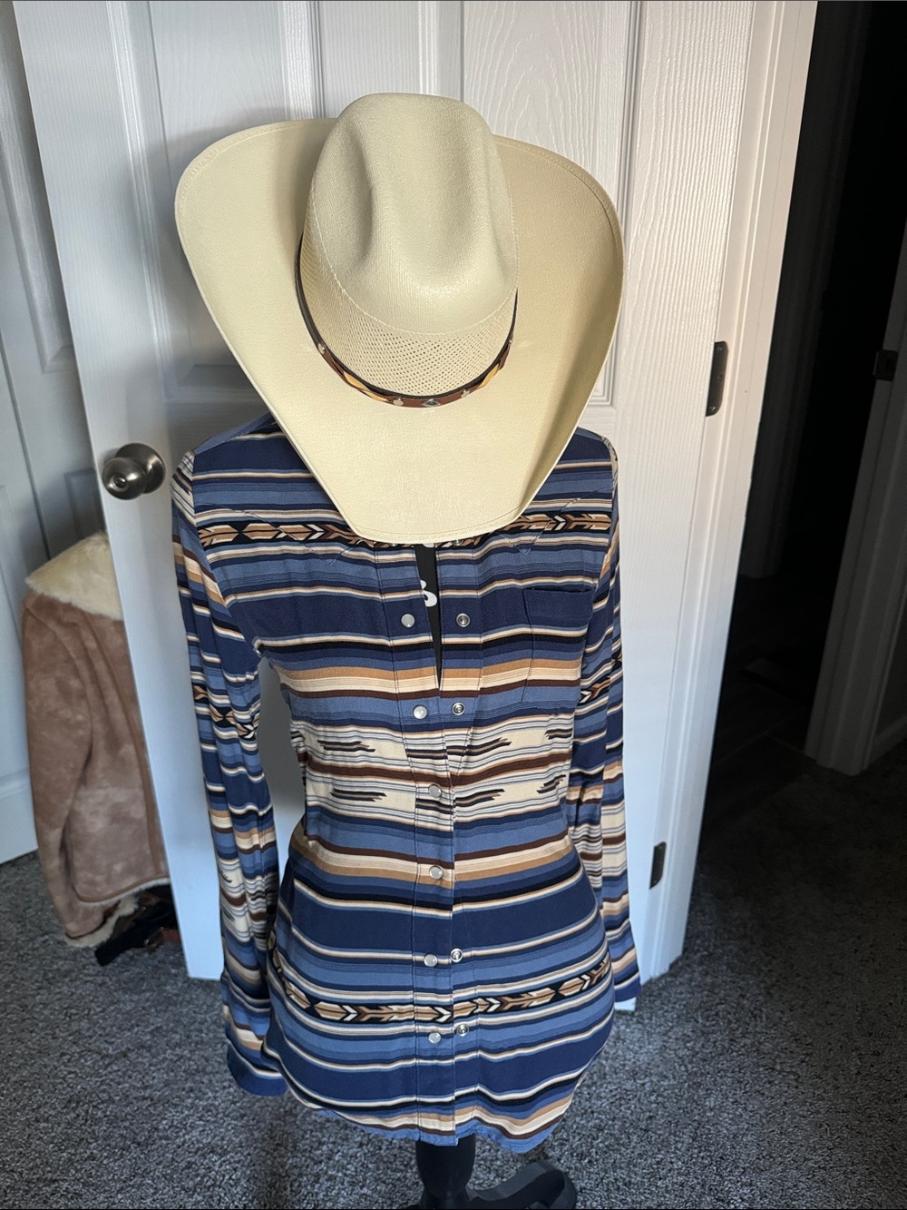 Stetson Pearl Snap Top